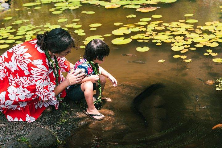 タイヌイ族と巡るタヒチ西海岸半日アドベンチャー