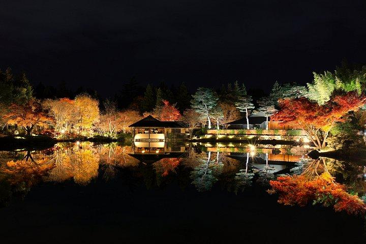東京から行く高尾山と国営昭和記念公園紅葉日帰りツアー