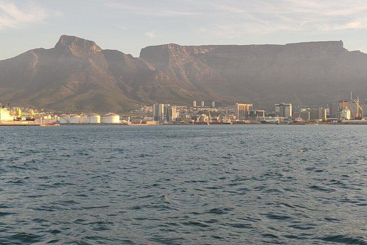 Cape Town Half Day Tour Robben Island BoKaap and Table Mountain