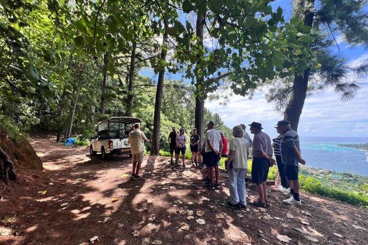 プライベートツアーMoorea 4WD : Magic Mountain Pineapple Road Belvedere