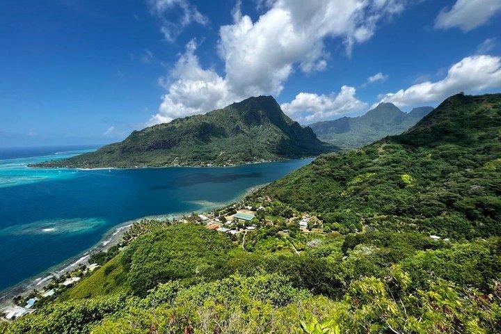 プライベートツアーMoorea 4WD : Magic Mountain Pineapple Road Belvedere