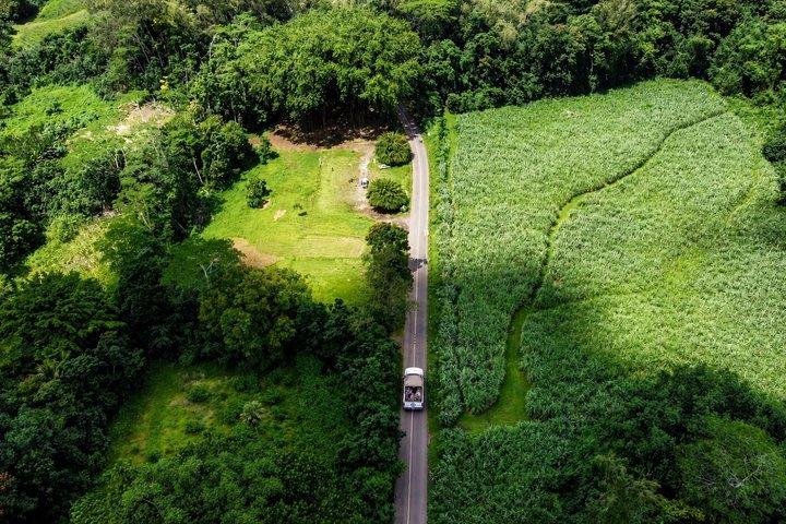 プライベートツアーMoorea 4WD : Magic Mountain Pineapple Road Belvedere