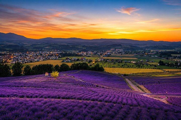 Furano Biei Blue Pond and Sunset Nature Tour from Sapporo