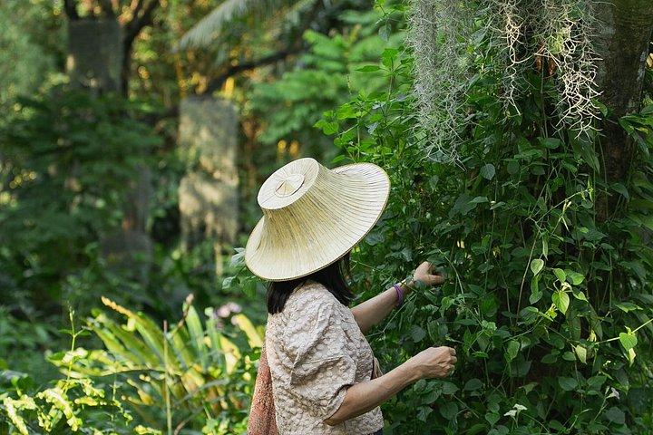 Fascinante Tour de Medio Día de Cultura y Naturaleza Tailandesa en Bangkok