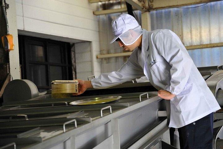 千葉鍋棚酒造見学と試飲