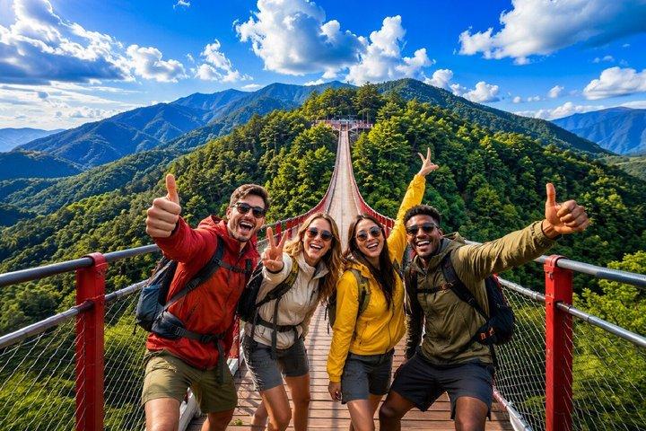 DMZ Tour: Exklusivt Koreanska avhopparsamtal + hängbro
