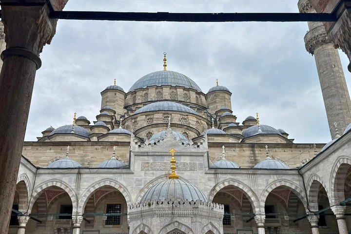 Istanbul's Cats: A Self-Guided Walking Tour