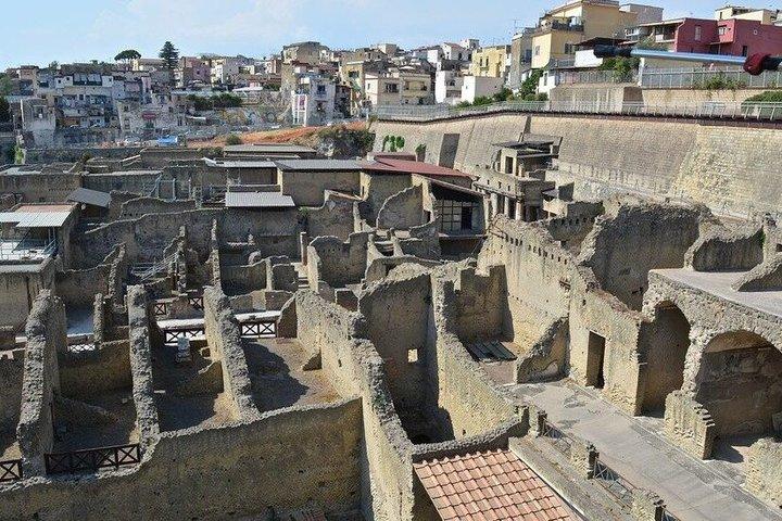 Tour privato di Pompei ed Ercolano da Roma con pranzo