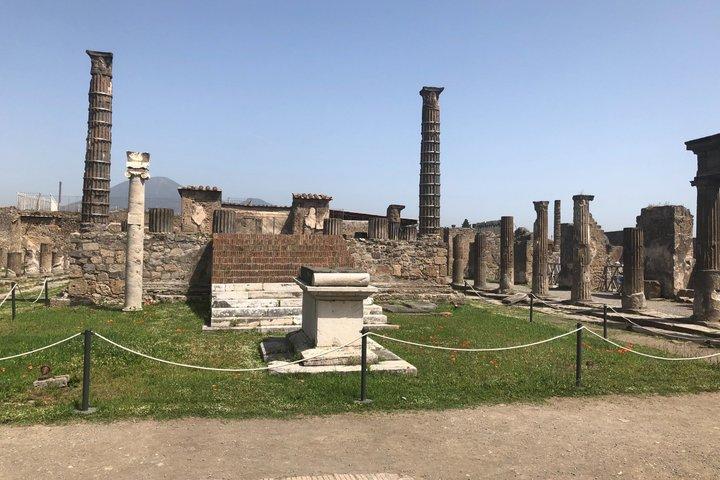 Tour privato di Pompei ed Ercolano da Roma con pranzo