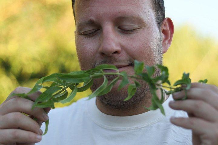 Naxos Herbal Garden Experience: Plant, Explore & Adopt Your Herb