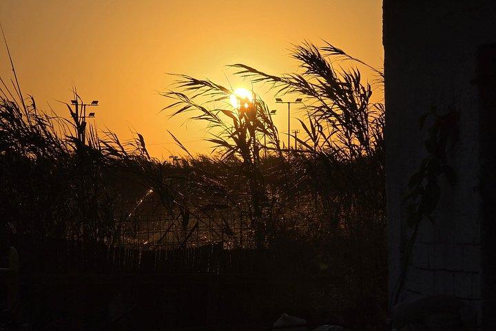 Naxos Herbal Garden Experience: Plant, Explore & Adopt Your Herb