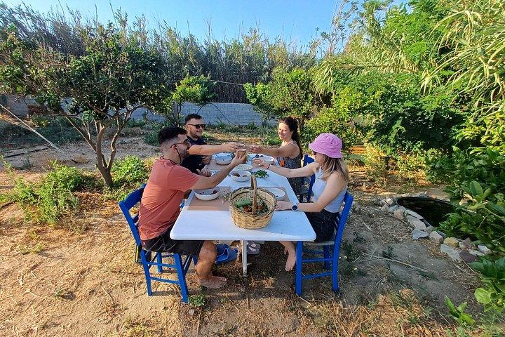 Naxos Herbal Garden Experience: Plant, Explore & Adopt Your Herb