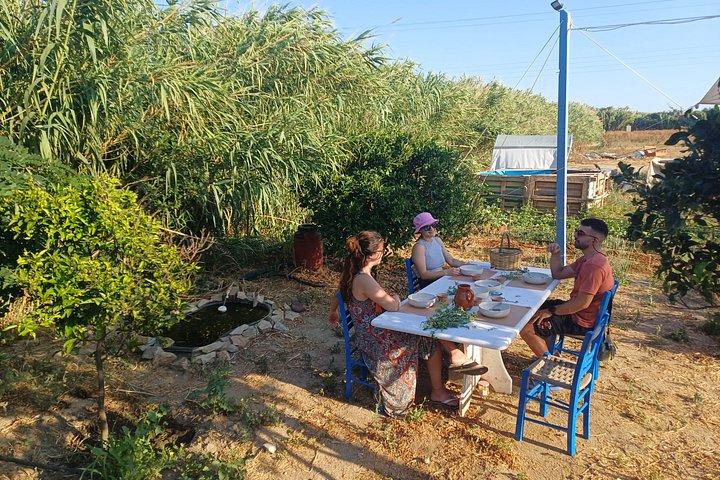 Naxos Herbal Garden Experience: Plant, Explore & Adopt Your Herb