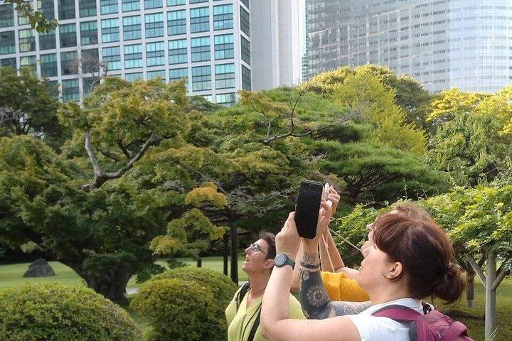 抹茶と日本語菓子で浜離宮恩賜庭園散策ツアー