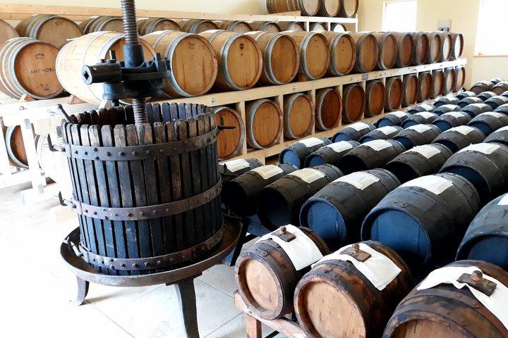 Balsamic Vinegar Tasting Tour Acetaia Angelo