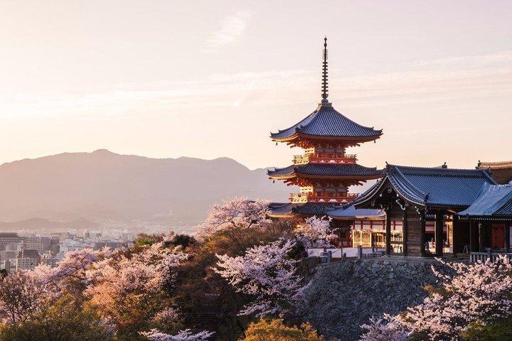 Tour privato di lusso di Kyoto con Guida Locale-Opzioni Nara&Osaka