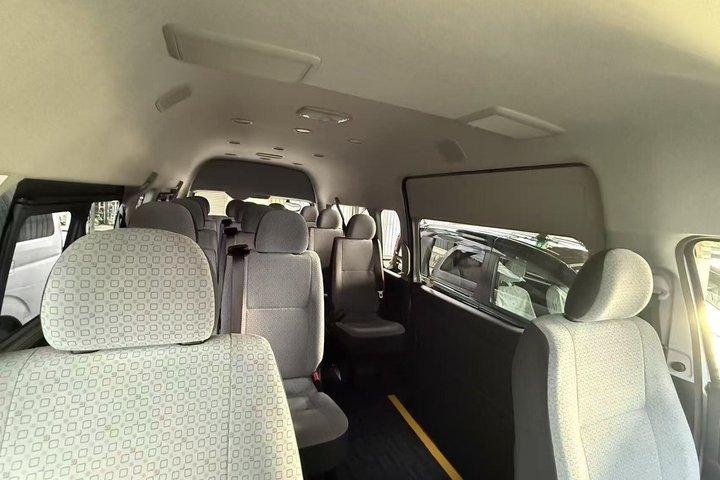 Private Arrival Transfer from Haneda Airport to Tokyo Hotel