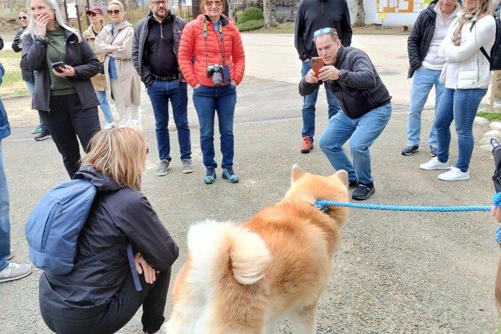 Akita : Tour guidato privato con visita facoltativa di Kakunodate