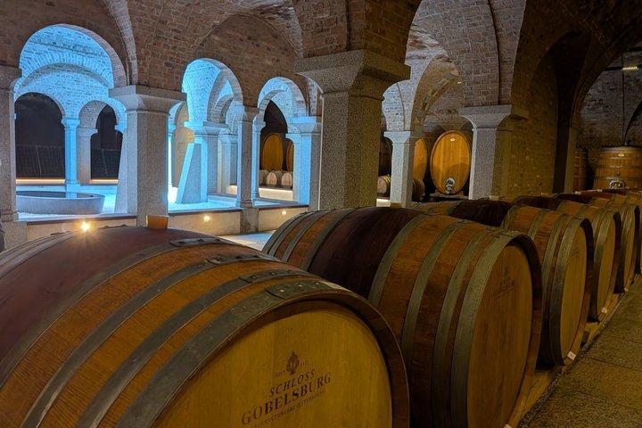 Giornata privata del vino premium: 2000 anni di vino austriaco a Wachau