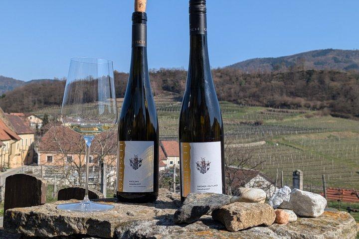 Giornata privata del vino premium: 2000 anni di vino austriaco a Wachau