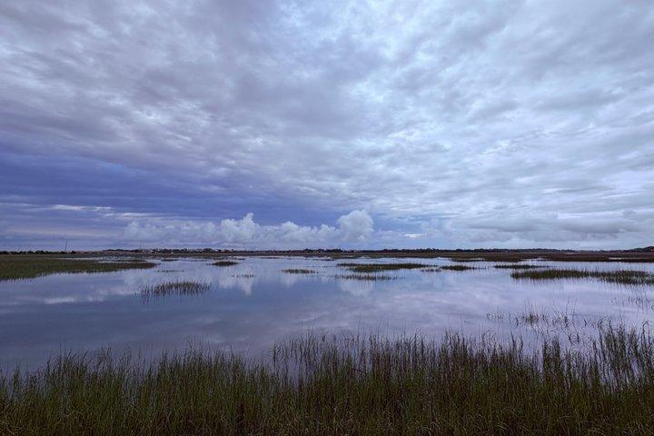 Croisière privée de bateau de faune du matin dans le marais salant de marée éloigné