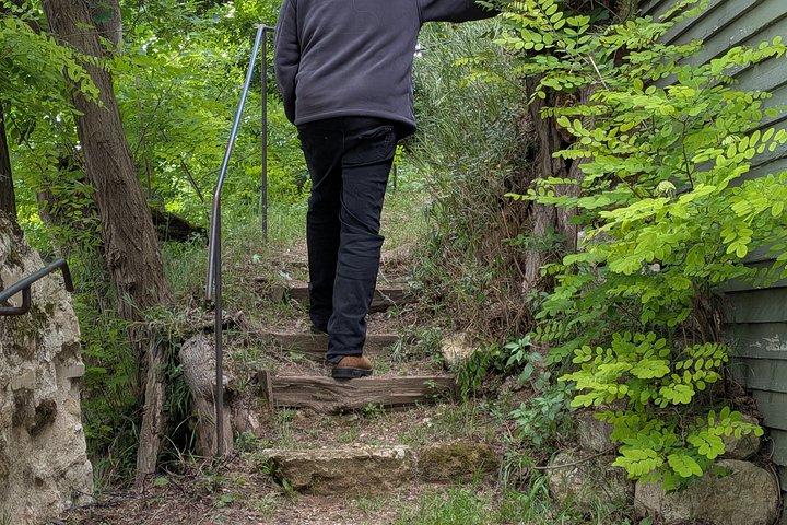 Racines le Sentier du dernier Tableau