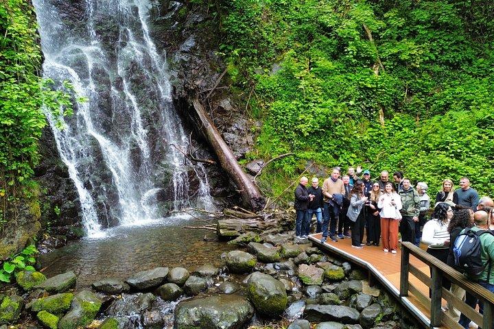 Half Day Tour Waterfalls with Activities from Batumi