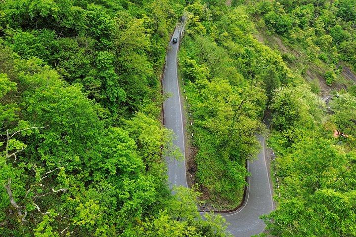 Half Day Tour Waterfalls with Activities from Batumi