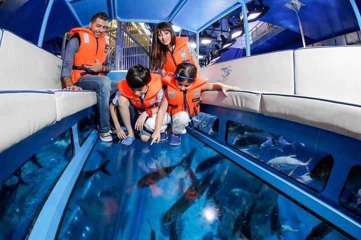 ドバイ水族館と水中動物園の入場券（オプション付き）