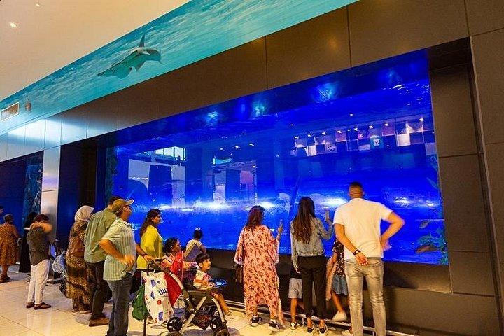ドバイ水族館と水中動物園の入場券（オプション付き）