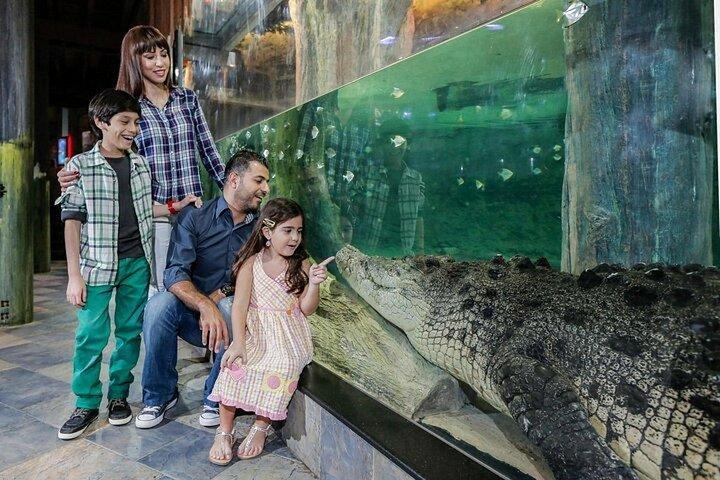 ドバイ水族館と水中動物園の入場券（オプション付き）