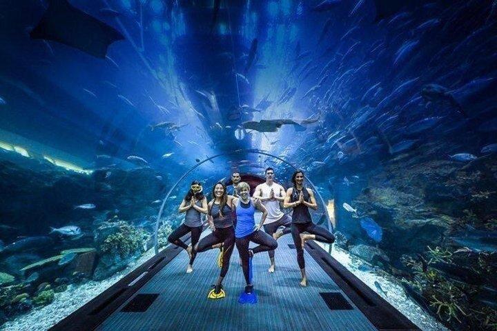 ドバイ水族館と水中動物園の入場券（オプション付き）