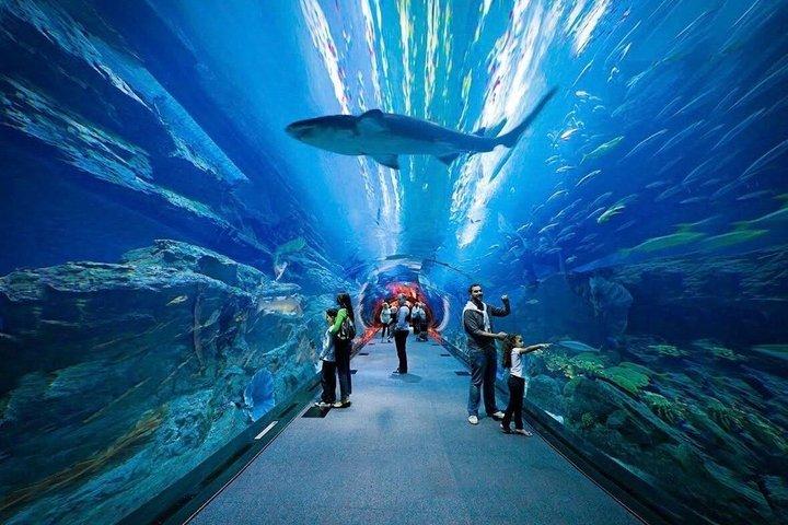 ドバイ水族館と水中動物園の入場券（オプション付き）