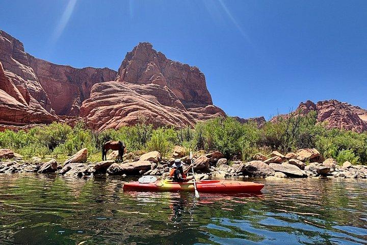 Guided Horseshoe Bend Petroglyph Kayak Tour