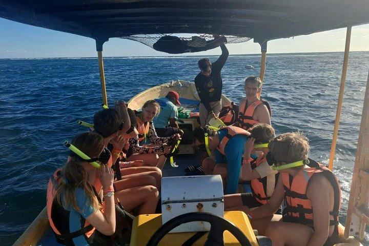 Puerto Morelos Reef Snorkeling with Private Transportation
