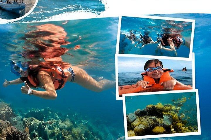 Puerto Morelos Reef Snorkeling with Private Transportation