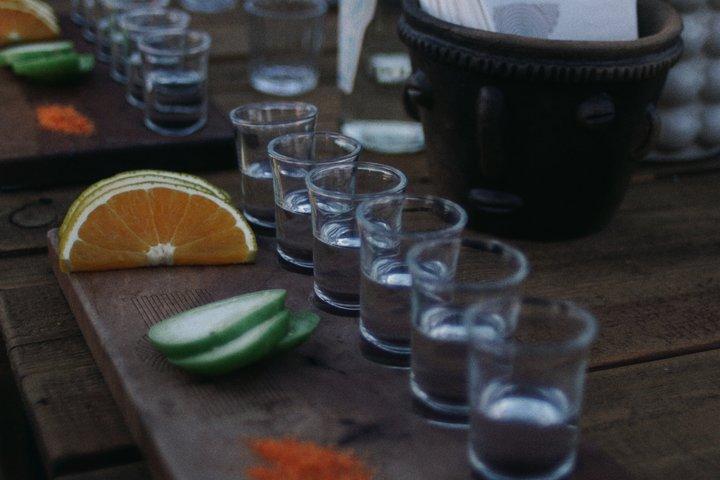 Mezcal Experience Mitla from Oaxaca Centro