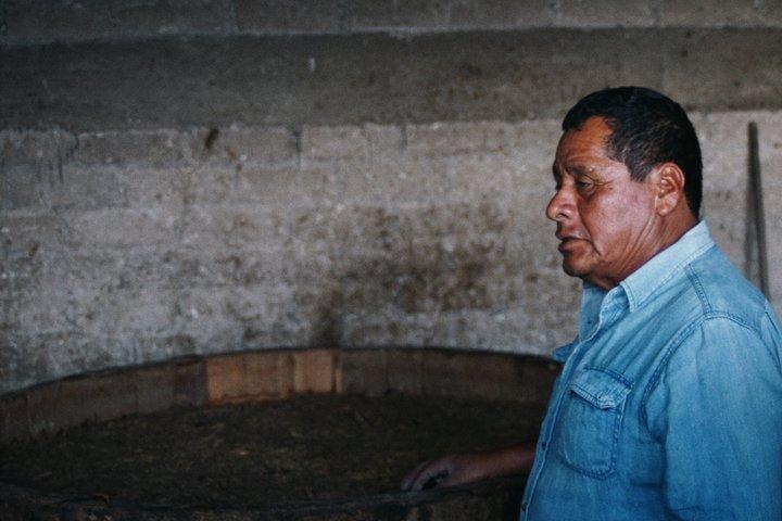 Mezcal Experience Mitla from Oaxaca Centro