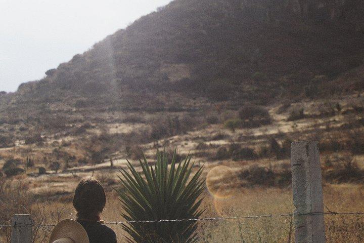 Mezcal Experience Mitla from Oaxaca Centro
