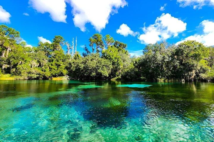 Rainbow Springs State Park Guided Kayak Tour