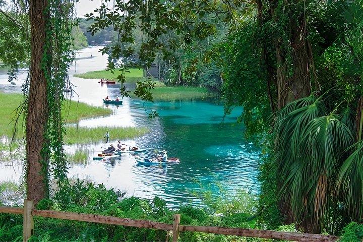 Rainbow Springs State Park Guided Kayak Tour