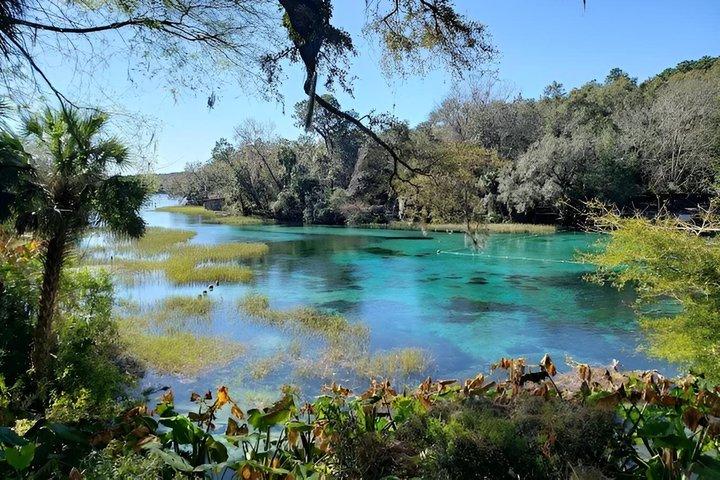 Rainbow Springs State Park Guided Kayak Tour