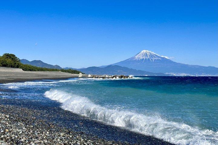 Shogun’s Shrine and Iconic Fuji Coast Private Tour from Shimizu