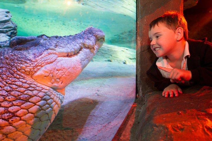 Eintrittskarte für das SEA LIFE Melbourne Aquarium