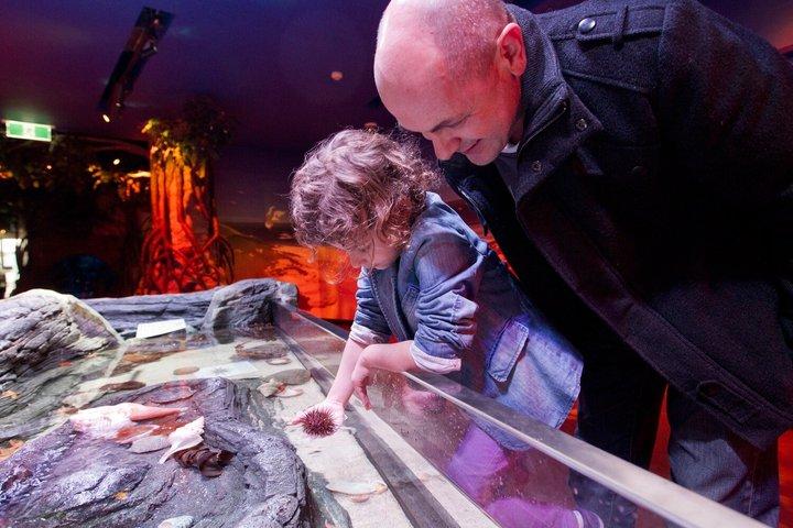 Eintrittskarte für das SEA LIFE Melbourne Aquarium