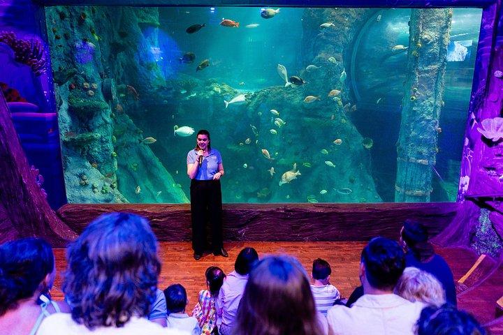 Entrada para o Melbourne Aquarium