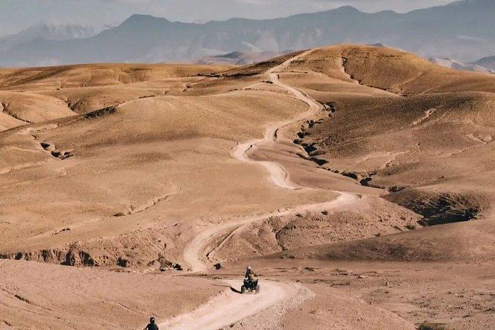 Pool & Lunch & Camel Ride med Quad i Agafay