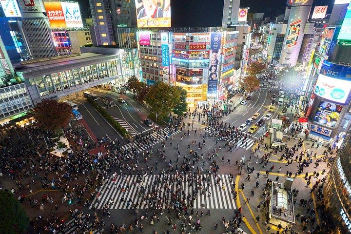ガイド付き東京プライベートツアー：パーソナライズされた体験
