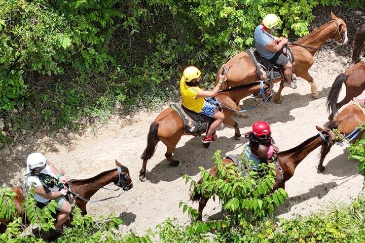 Domitai Punta Cana Park Avventura Buggy Zipline Cavalli Pranzo