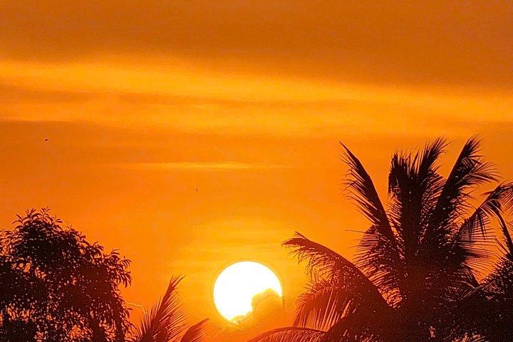 NEW | Mekong Delta Adventure Sunset Tour – Private Day Trip
